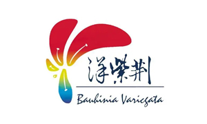 洋紫荆